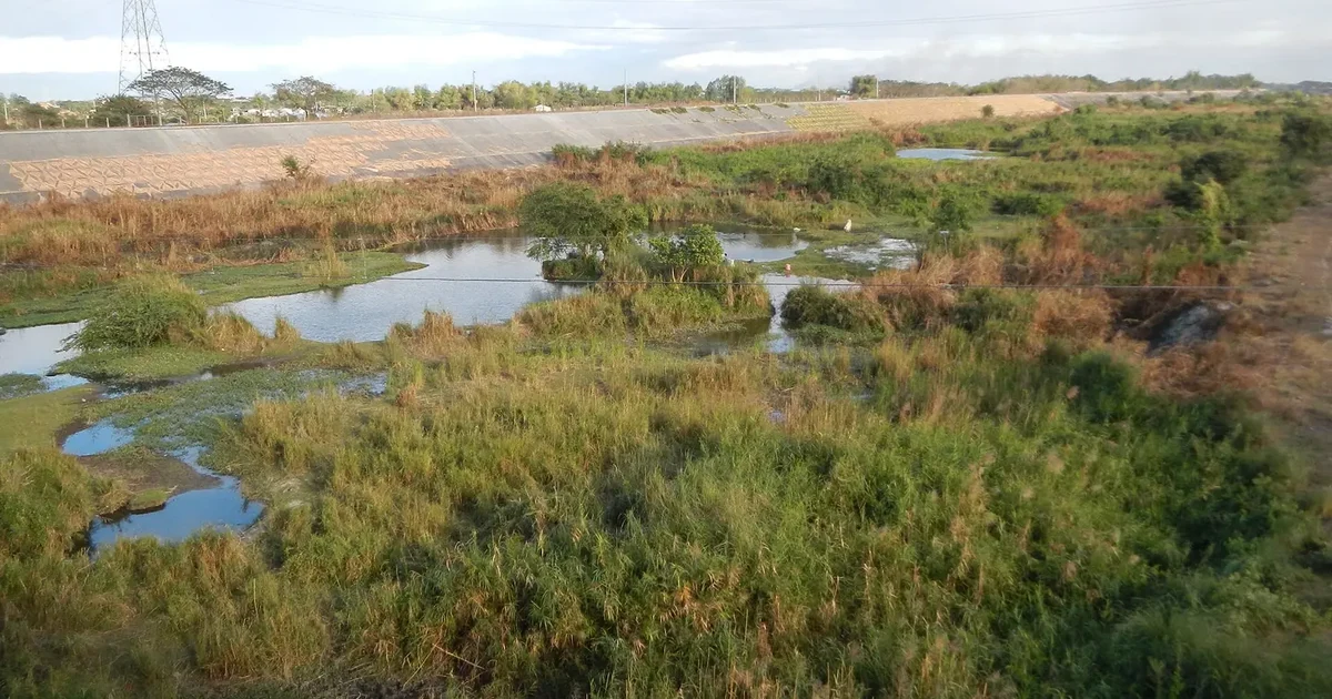 Archive view of a flood-control landscape and bridge in Pampanga